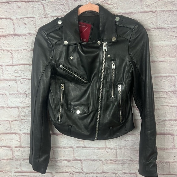 PULL&BEAR 100% leather motorcycle jacket - Picture 1 of 5